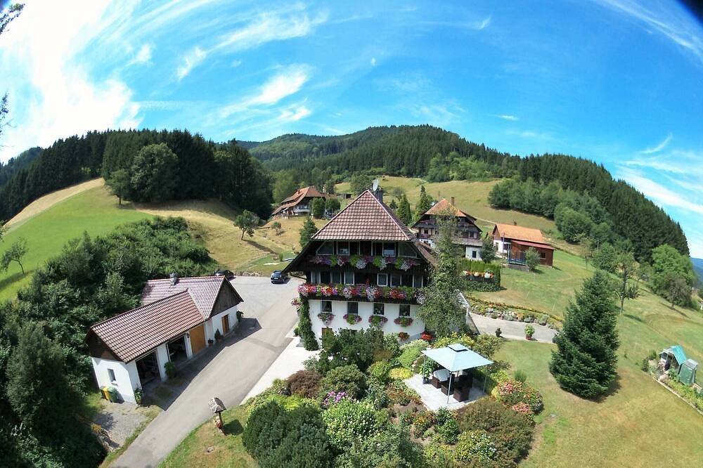 Ganze Wohnung, Haus Schneider - Ferienwohnung Stüble in Gutach (Schwarzwaldbahn), Kinzigtal