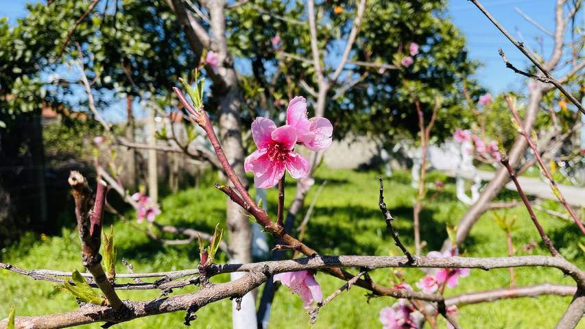 Ferienhaus für 6 Personen, mit Balkon/Terrasse und Ausblick in Albanien