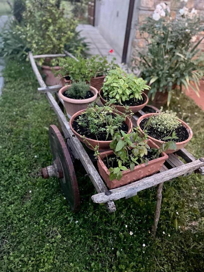 Chambre d’hôte pour 2 personnes, avec jardin et terrasse à Greve In Chianti - 4