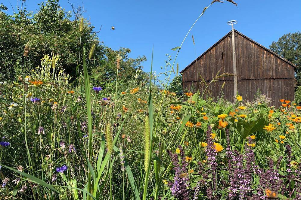 Ganze Wohnung, Geräumiges Doppelzimmer im Grünen in Vetschau, Oberspreewald-Lausitz