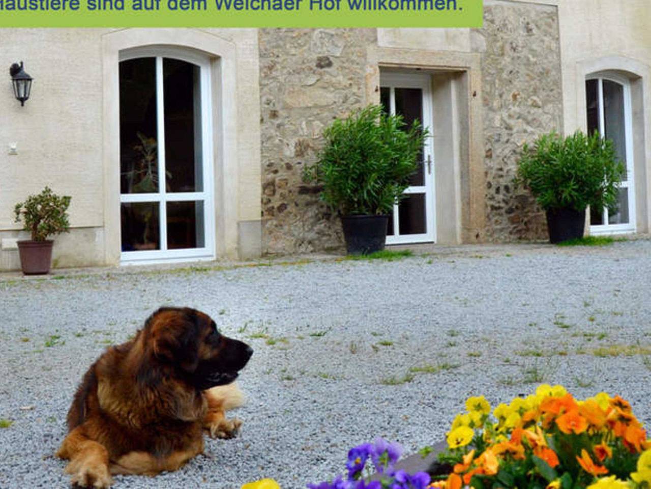 Ganze Ferienwohnung, Weichaer Hof Fbs Sonja Fritsch & Hagen Schmidt Gbr - Ferienwohnung 2 - 32qm (2 Personen), Balkon in Weißenberg, Oberlausitz Niederschlesien