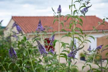 Gîte pour 4 personnes, avec jardin à Fossemagne