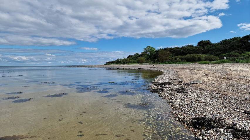 Ferienhaus für 5 Personen, mit Garten, mit Haustier in Flovt Strand - 3