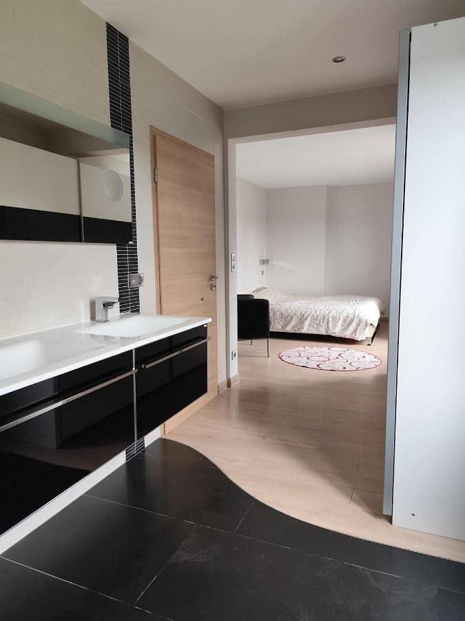 Gîte pour 6 personnes, avec jardin à Huningue - 4