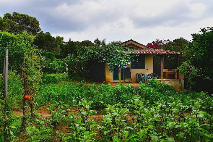 Ferienhaus für 2 Personen, mit Garten, mit Haustier - 1