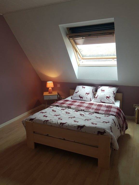 Gîte pour 6 personnes, avec terrasse à Sélestat - 4