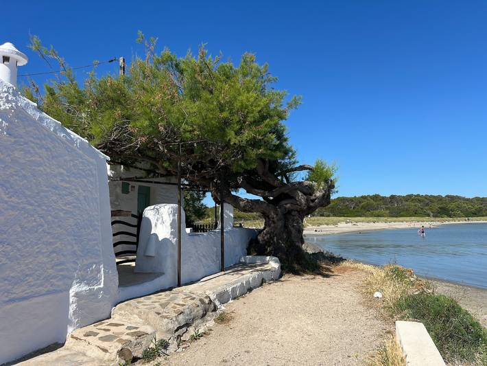 Holiday apartment for 4 people, with balcony, with pets - 1