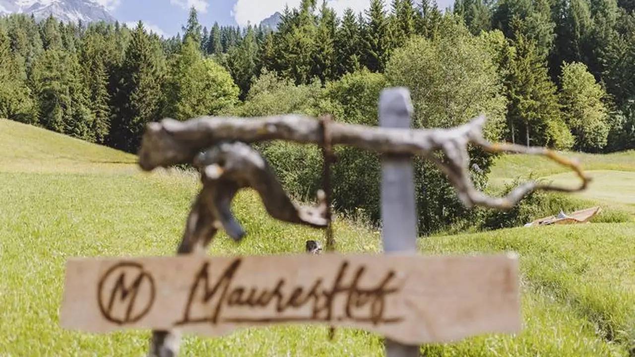 Bauernhof für 4 Personen (30 m²) in Leogang in Loferer und Leoganger Steinberge, Leogang