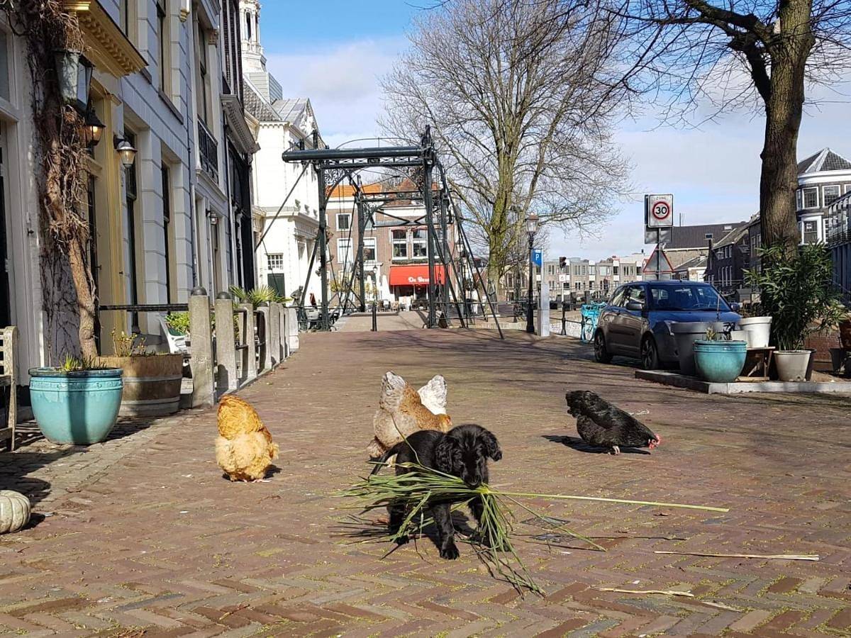 Appartement entier, Two-Bedroom Apartment in Schiedam, Hollande-Méridionale