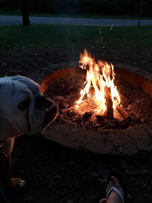 Castle Rock Lake Hütte in der Nähe von Lake ~ In der Nähe von Wisconsin Dells ~ Friedlicher Rückzugsort! in Castle Rock Lake