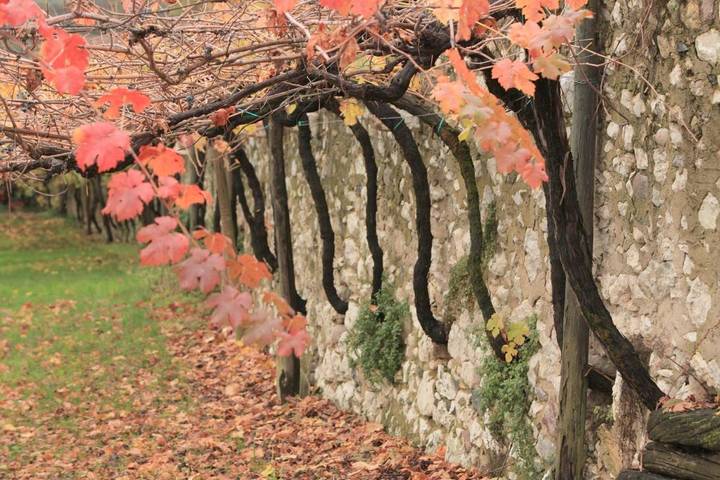 Chambre d’hôte pour 4 personnes, avec terrasse à Rovereto - 2