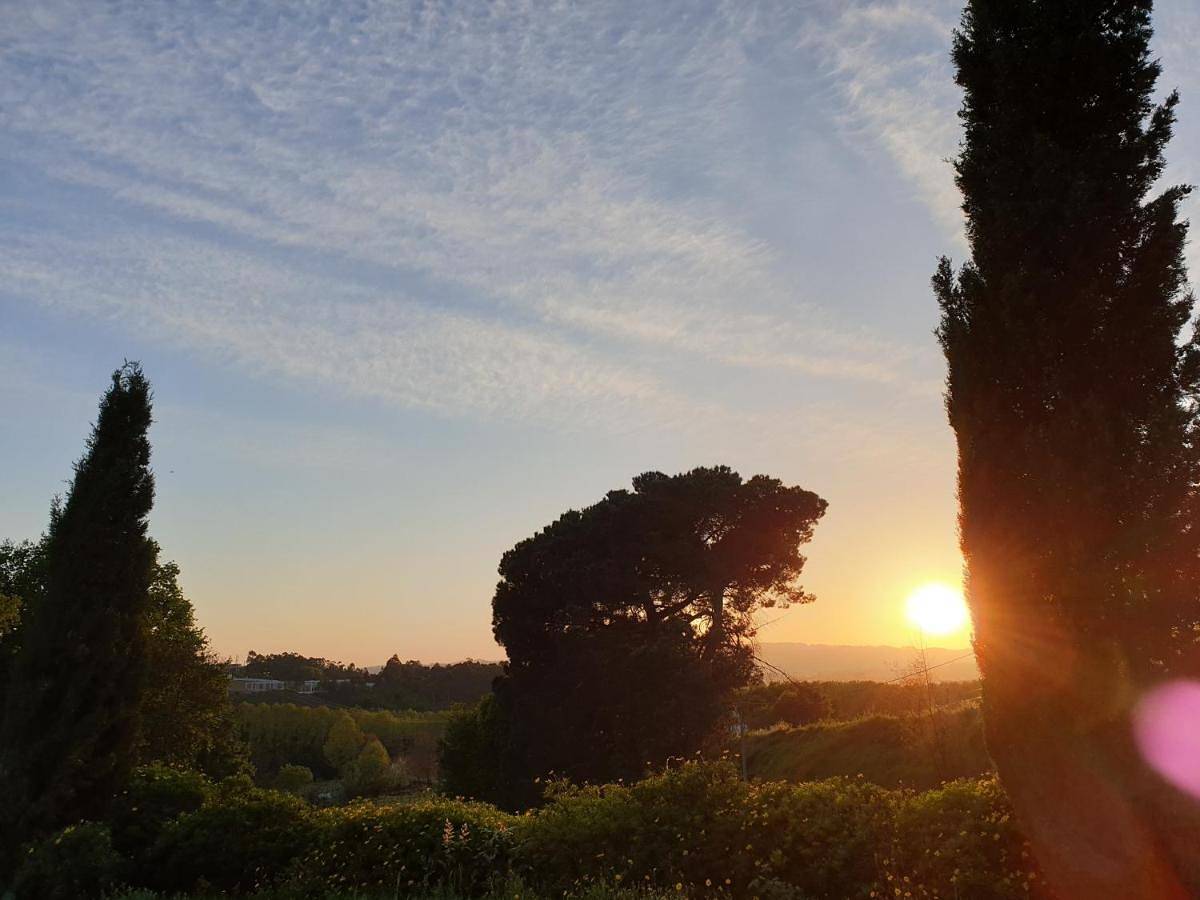 Quinta Das Essências in Penafiel, Bustelo