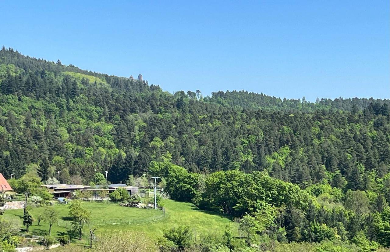Appartement entier, Le repaire des Supers Héros in Thannenkirch, Parc naturel régional des Ballons des Vosges