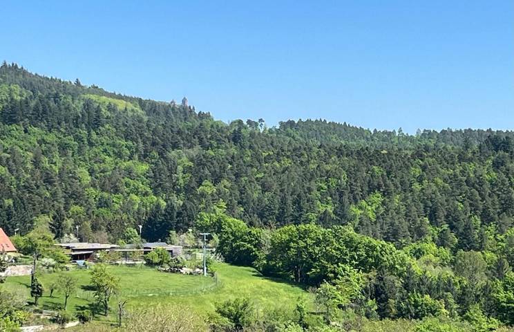 Gîte pour 7 personnes, avec vue et terrasse à Thannenkirch - 2