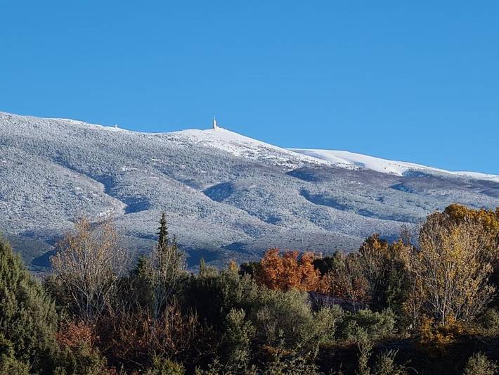 Chambre d’hôte pour 4 personnes, avec vue et jardin à Bédoin - 3
