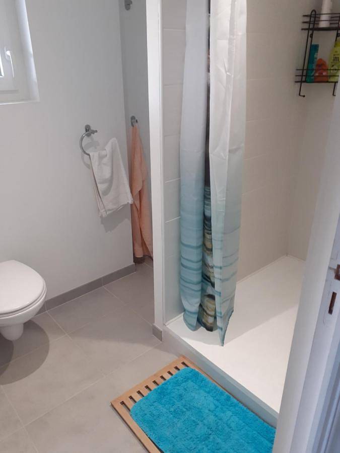 Gîte pour 6 personnes, avec terrasse, animaux acceptés à Riscle - 4