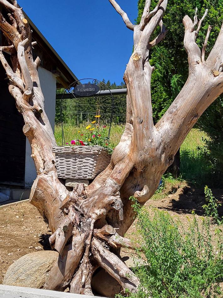 Ferienwohnung für 4 Personen, mit Terrasse und Garten in Osttirol - 3