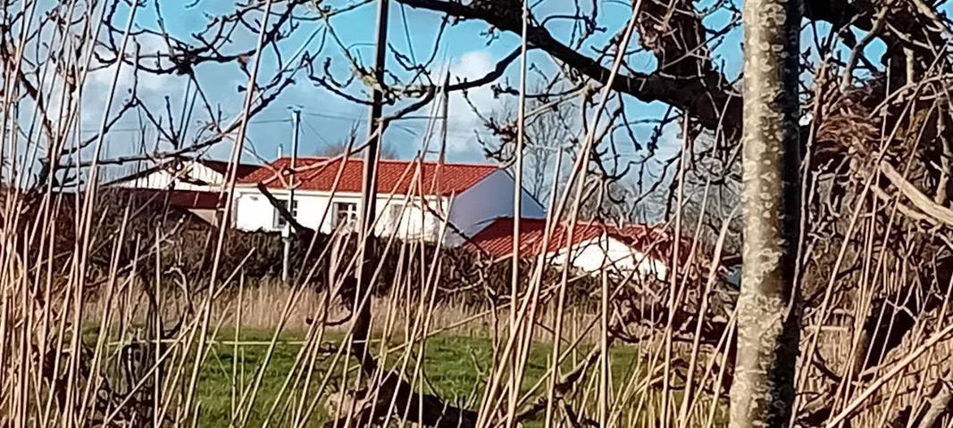 Chambre d’hôte pour 2 personnes, avec vue et jardin à Saint-Jean-de-Monts - 4