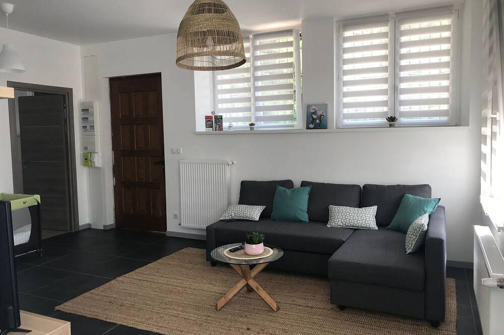 Appartement entier, Appartement au cœur du Val d'Argent in Sainte-Croix-aux-Mines, Parc naturel régional des Ballons des Vosges