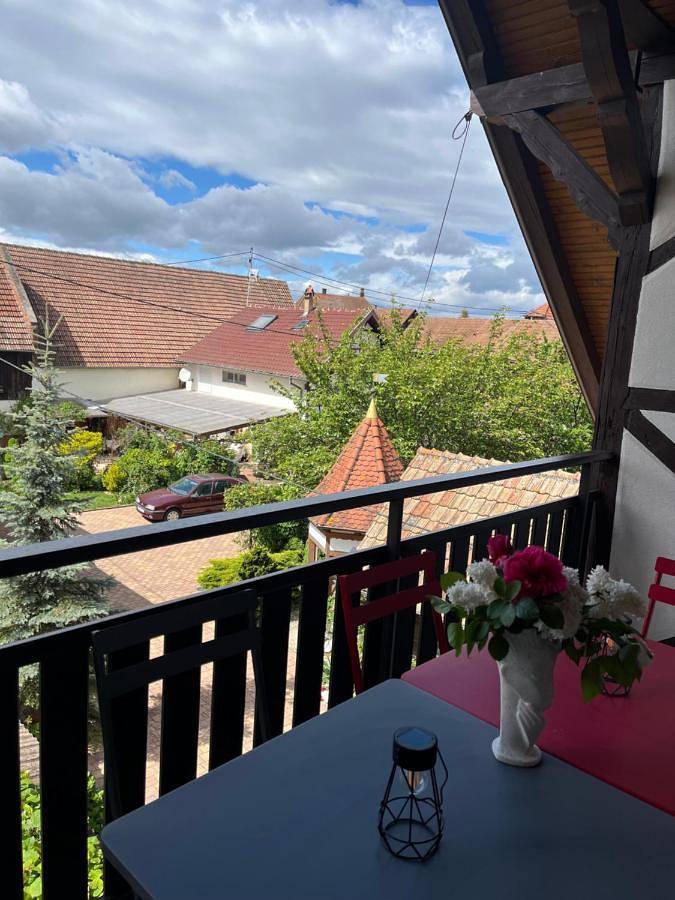 Gîte pour 7 personnes, avec vue et jardin, animaux acceptés dans Diebolsheim - 4