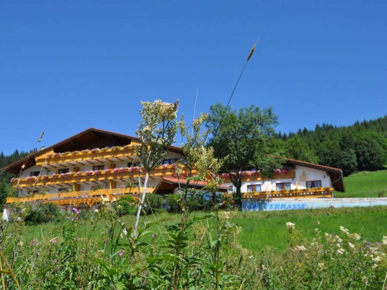 Ganze Ferienwohnung, Landhaus Wildschütz - Alpenveilchen in Jungholz, Bayerische Alpen