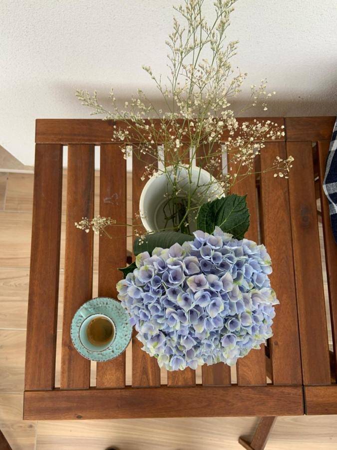 Station pour 2 personnes, avec jardin ainsi que terrasse et piscine, animaux acceptés à Casalbordino - 4