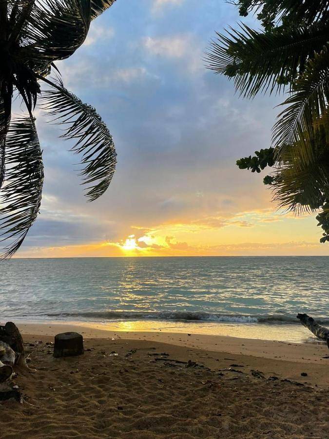 Gîte pour 2 personnes, avec jardin et vue, animaux acceptés dans Ilha de Boipeba - 2