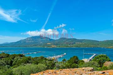 Gîte pour 6 personnes, avec terrasse ainsi que piscine et vue à Porto Rotondo