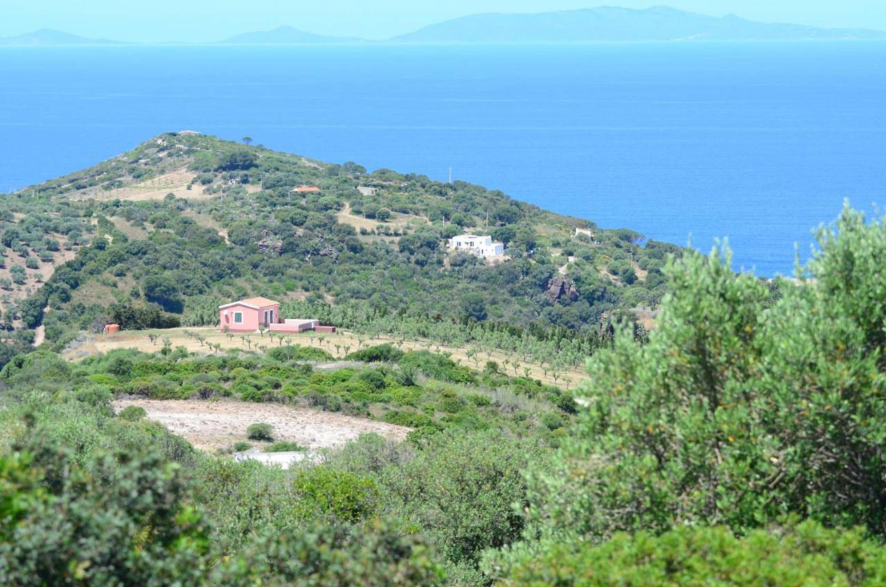 Villetta Olivia Casa in collina vista mare in Castelsardo, Sassari Provinz