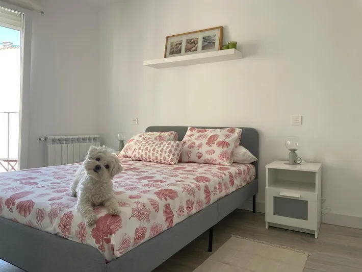 Apartamento de vacaciones para 6 personas, con terraza y vistas, Se admiten mascotas - 1