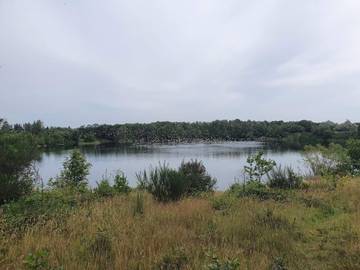 Ferienhaus für 6 Personen in Ringkøbing, Dänemark an der Nordsee, Bild 3