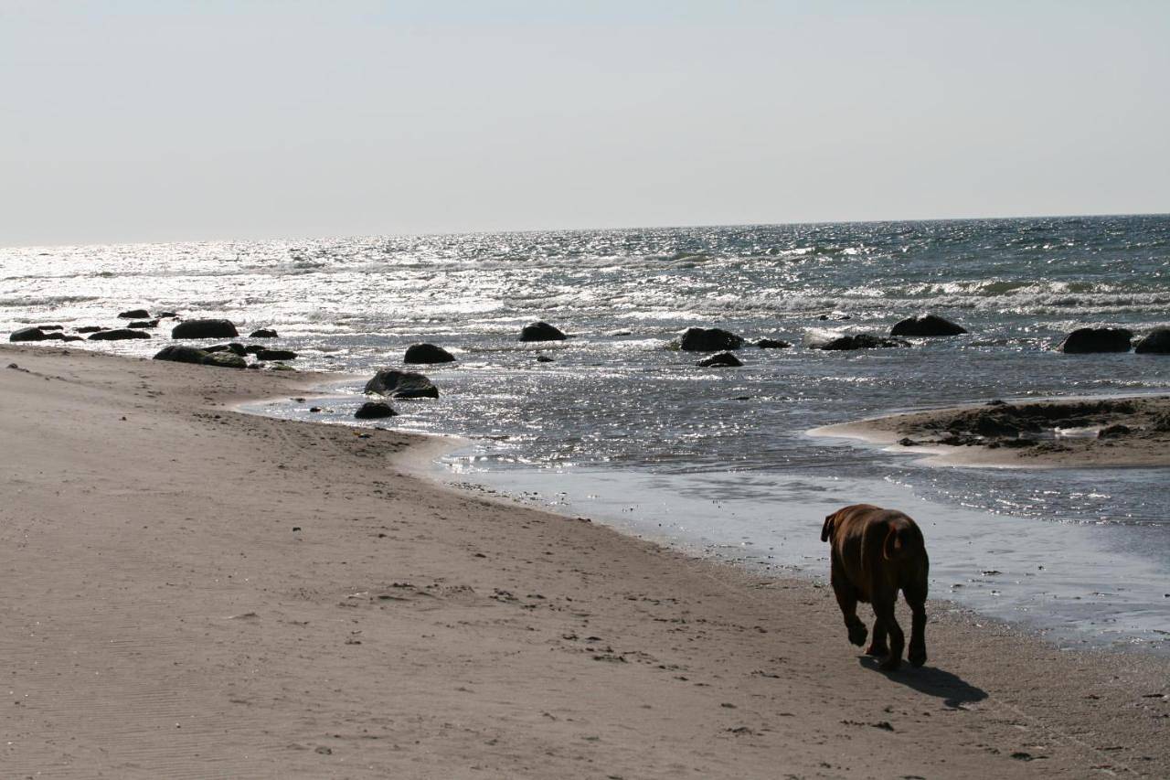 Camper Stellplatz für dein Camper oder Womo Direkt am Strand in Bakenberg, Dranske