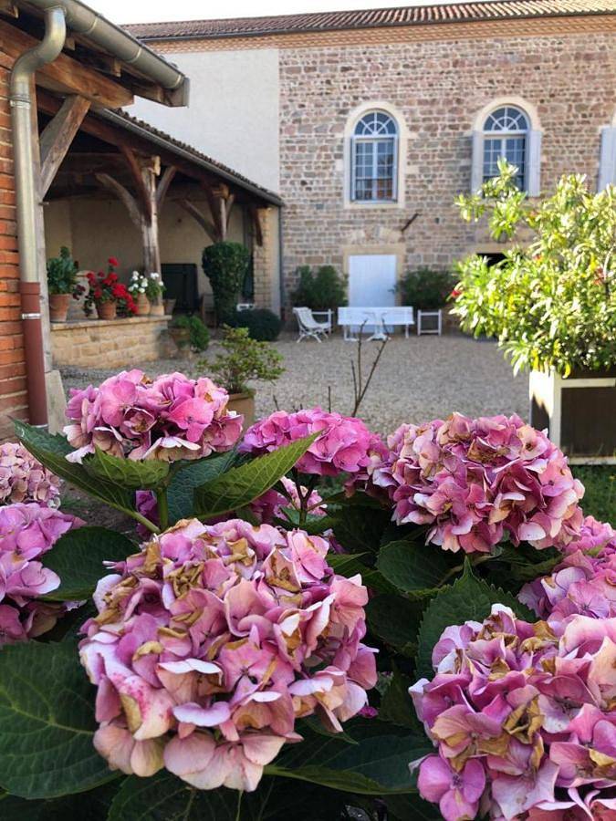 Location de vacances pour 8 personnes, avec piscine et terrasse ainsi que jardin et vue à Saint-Étienne-la-Varenne - 4