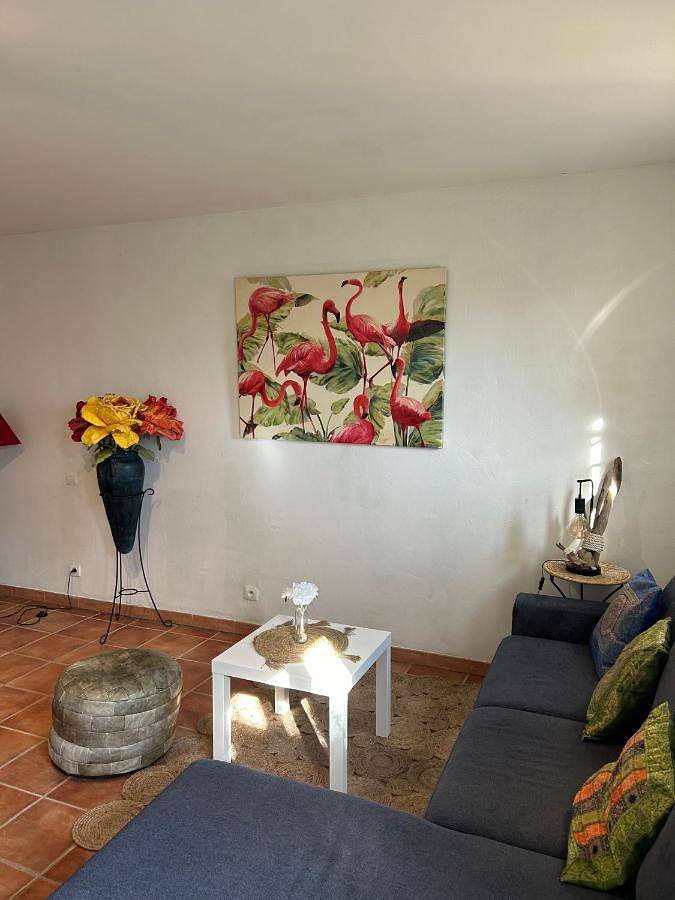 Gîte pour 4 personnes, avec piscine ainsi que jardin et vue, animaux acceptés à Bellegarde - 3