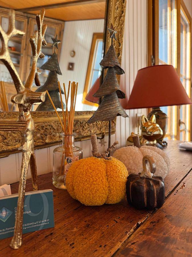 Location de vacances pour 10 personnes, avec sauna et jacuzzi ainsi que piscine et jardin, adapté aux familles dans Station de Larcenaire - Bussang - 4