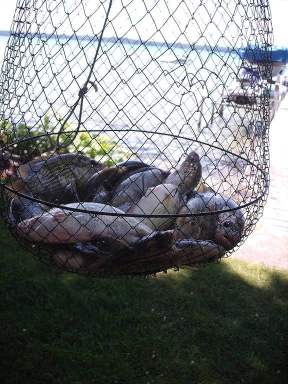 Alden Sunrise Cabin in der malerischen Innenstadt von Alden in der Nähe von Torch Lake in Torch Lake