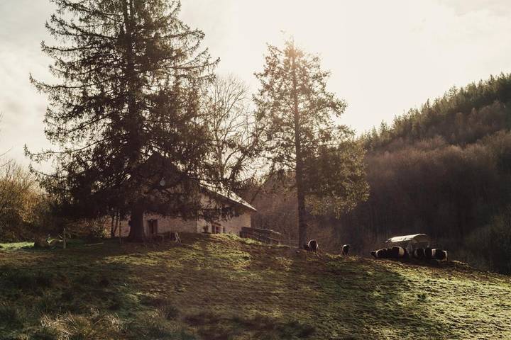 Chalet pour 7 personnes, avec jardin et vue