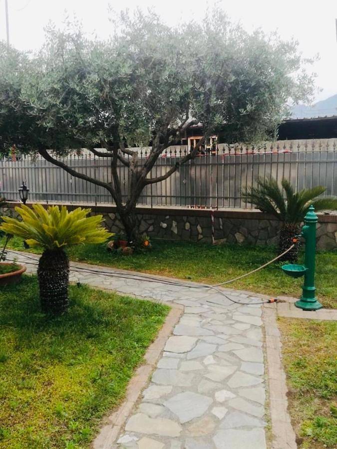 Chambre d’hôte pour 2 personnes, avec vue et jardin dans Sant'Anastasia - 4