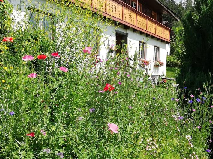 Edlingerhof - Doppelzimmer mit Dusche, Wc in Schladming, Schladming-Dachstein