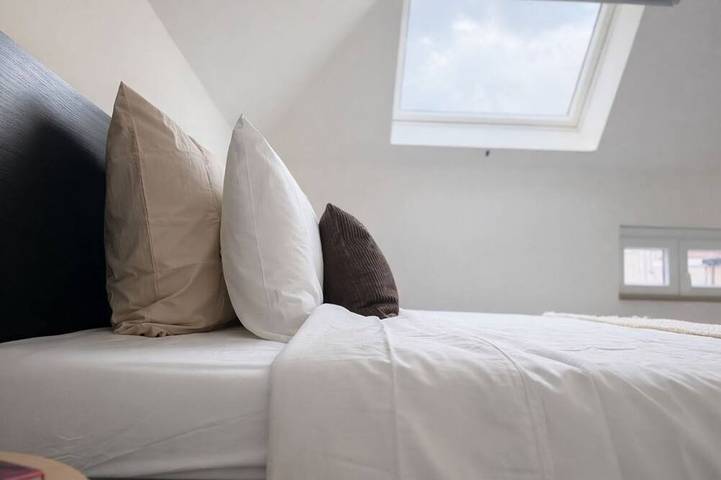 Ganze Wohnung, Central Ghent | Private Room w/ WIFI & Shared Lr in Gent (Flandern), Gent