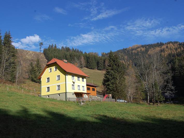 Ferienhaus für 10 Personen, mit Garten und Sauna in Hochsteiermark - 4