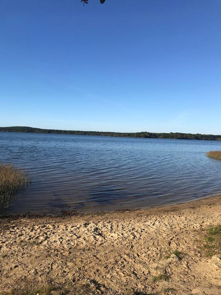 Camping für 6 Personen, mit Kinderpool und Garten, kinderfreundlich in Landes - 3