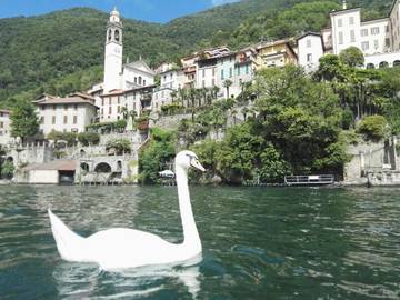 Gîte pour 4 personnes, avec vue sur le lac ainsi que vue et jardin dans Nesso