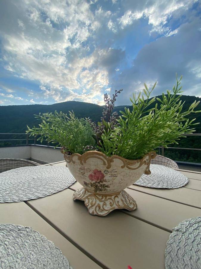 Gîte pour 4 personnes, avec jardin et jacuzzi à Sinaia - 3