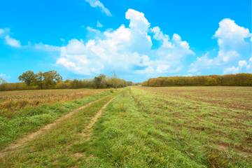 Location De Vacances pour 6 Personnes dans La Chapelle-Aubareil, Périgord Noir, Photo 3