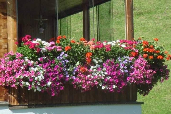Gîte pour 6 personnes, avec jardin à Schoppernau - 4