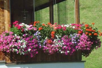 Vakantieappartement voor 6 Personen in Schoppernau, Allgäuer Alpen (Oostenrijk), Afbeelding 3