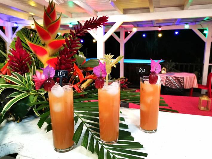 Hôtel pour 10 personnes, avec piscine et vue ainsi que sauna et jardin à Petit-Bourg - 2