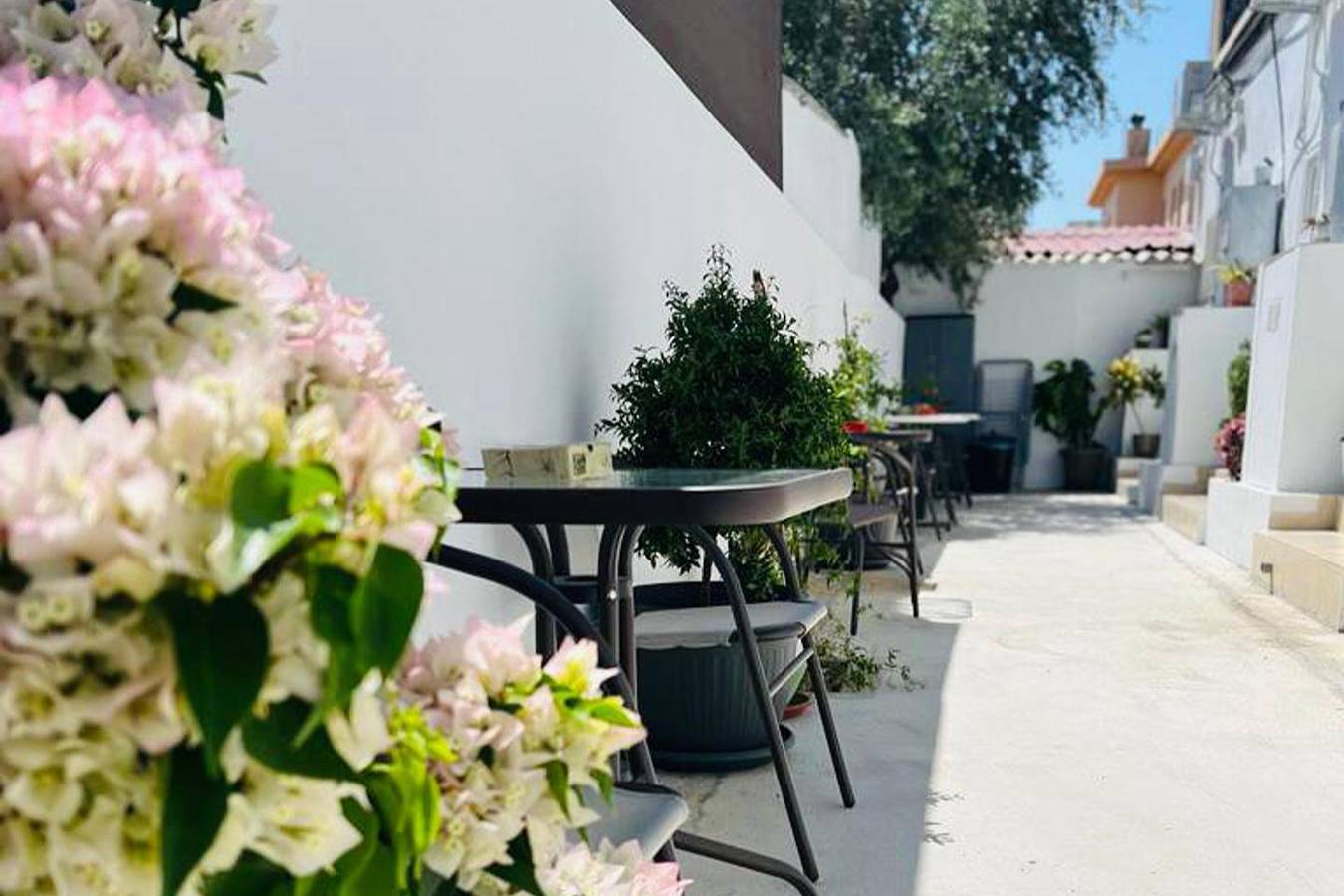Całe studio, Studio dla 4 osób z ogród in Larnaka, Powiat Larnaki