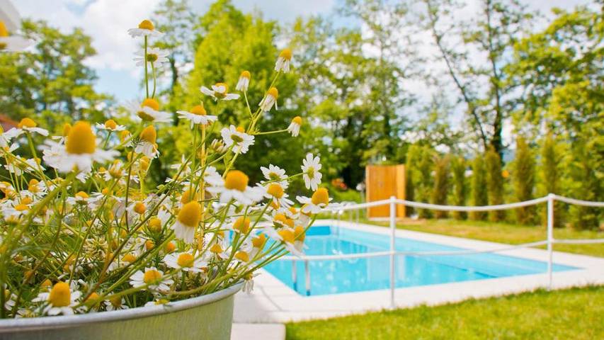 Studio für 6 Personen, mit Pool und Garten - 1